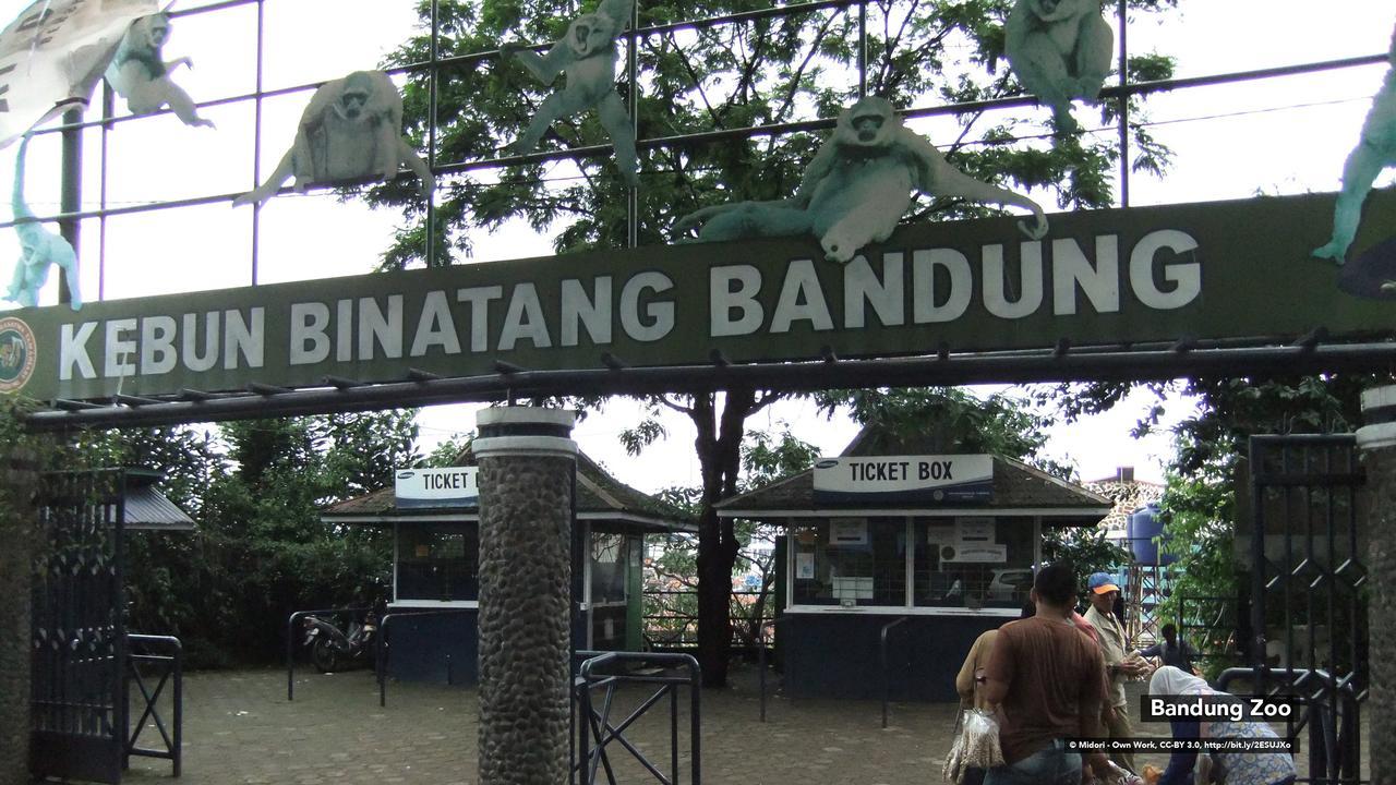Zen Rooms Bukit Tunggul Bandung Exterior photo